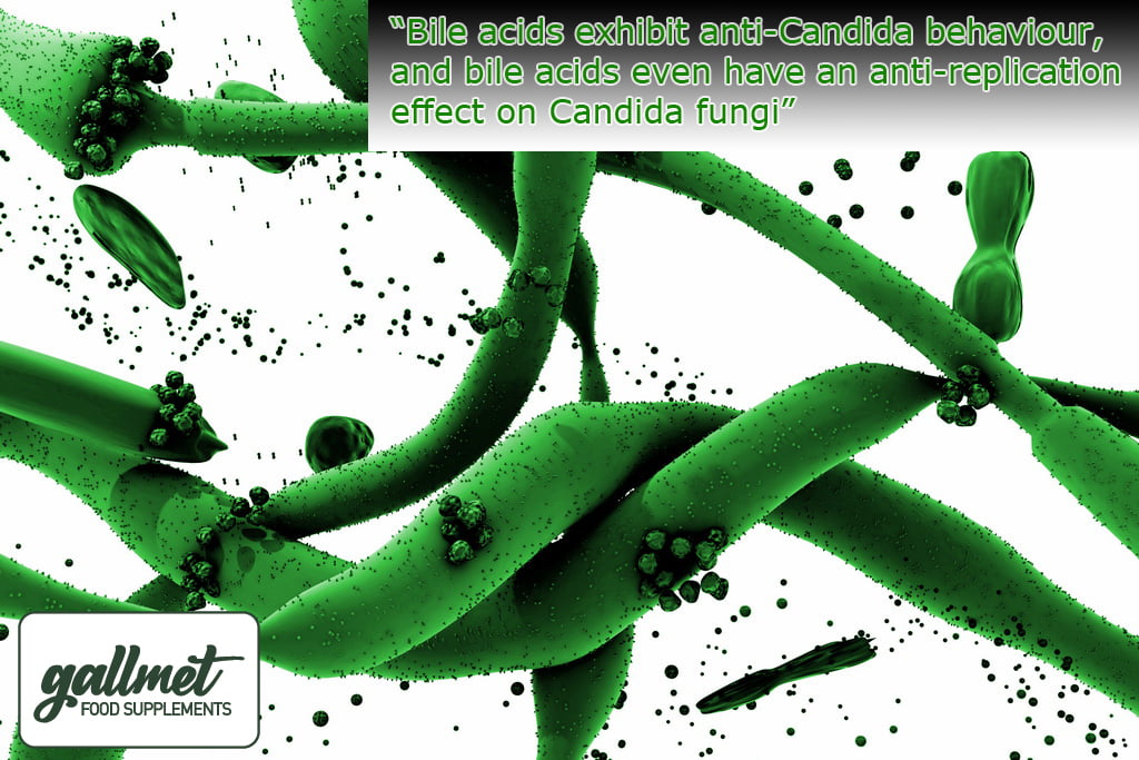 Bile acids show anti-Candida activity and even have an anti-proliferative effect on Candida fungal species.