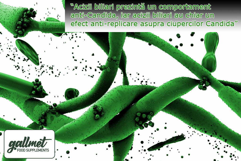 Acizii biliari au o activitate anti-Candida și chiar un efect anti-proliferativ asupra ciupercilor Candida.