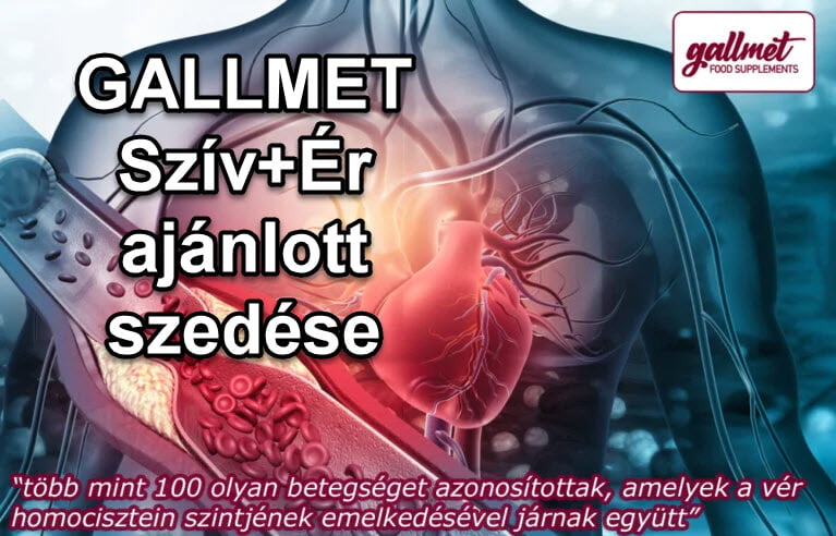 gallmet heart-artery daily dosage