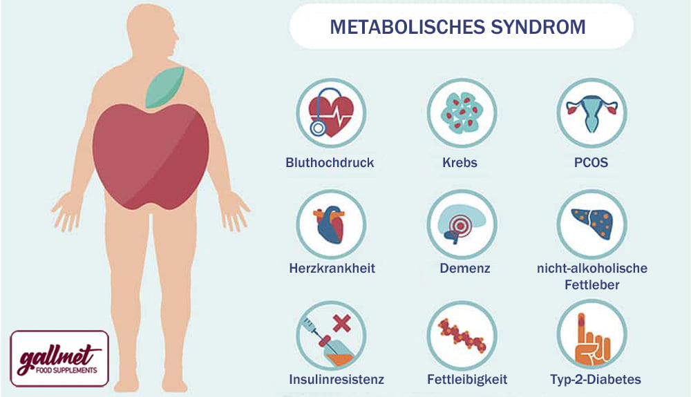 Beim Metabolischen Syndrom ist der Homocysteinspiegel im Blut deutlich erhöht, was zu einer höheren Inzidenz von Krankheiten führt, die die Blutgefäße betreffen.