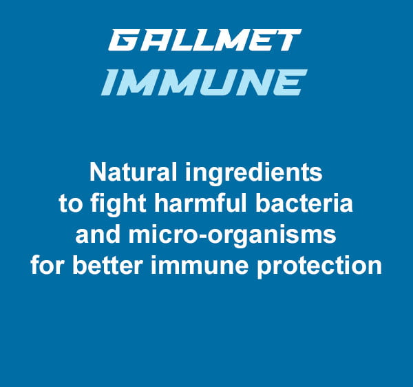 Gallmet Immune (Antibac) capsules