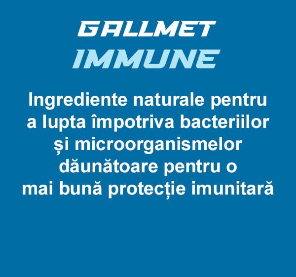 Gallmet Immune (Antibac) capsule